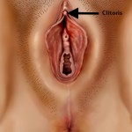 Clitoris