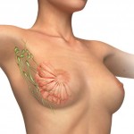 Female breast image A